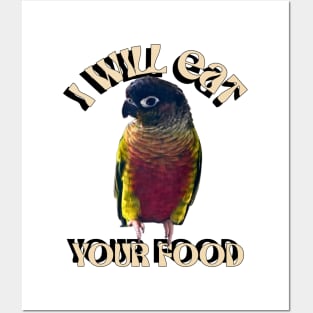 I Will Eat Your Food Green Cheek Conure Parrot Bird, Love birds Posters and Art